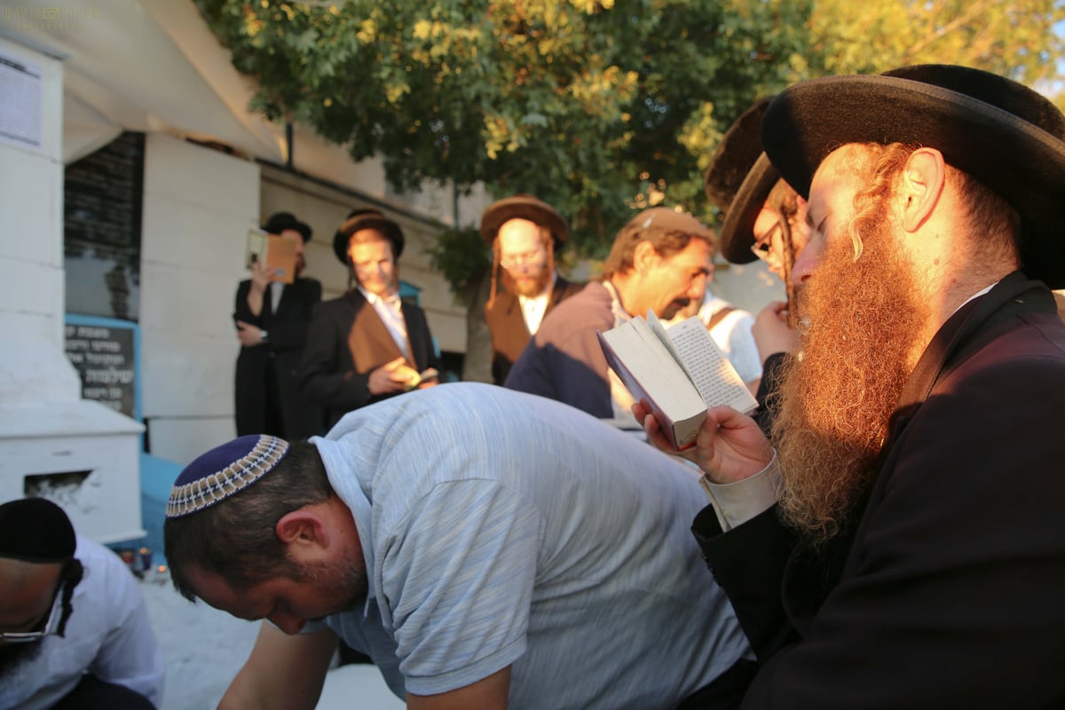 וידאו ותמונות: הילולת האר"י בצפת • צפו