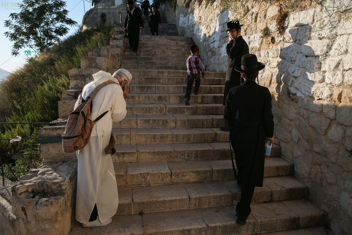 וידאו ותמונות: הילולת האר"י בצפת • צפו