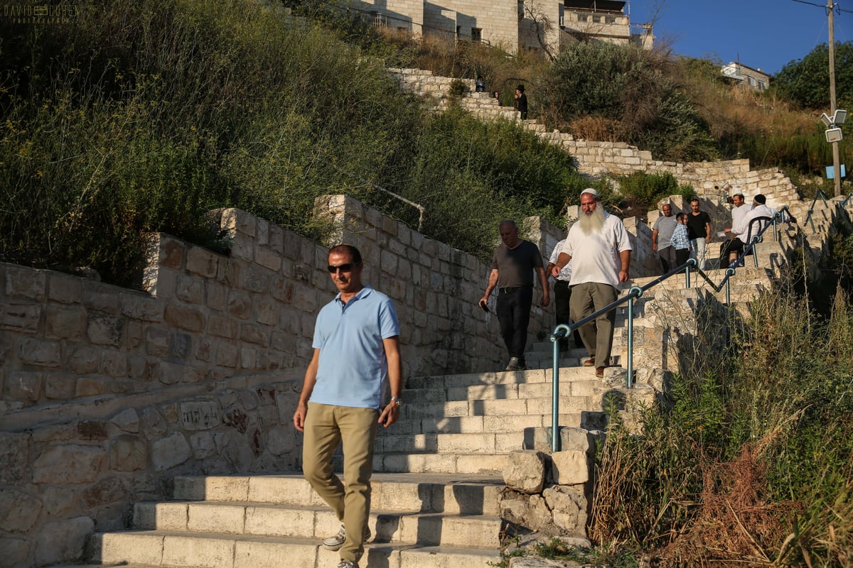 וידאו ותמונות: הילולת האר"י בצפת • צפו