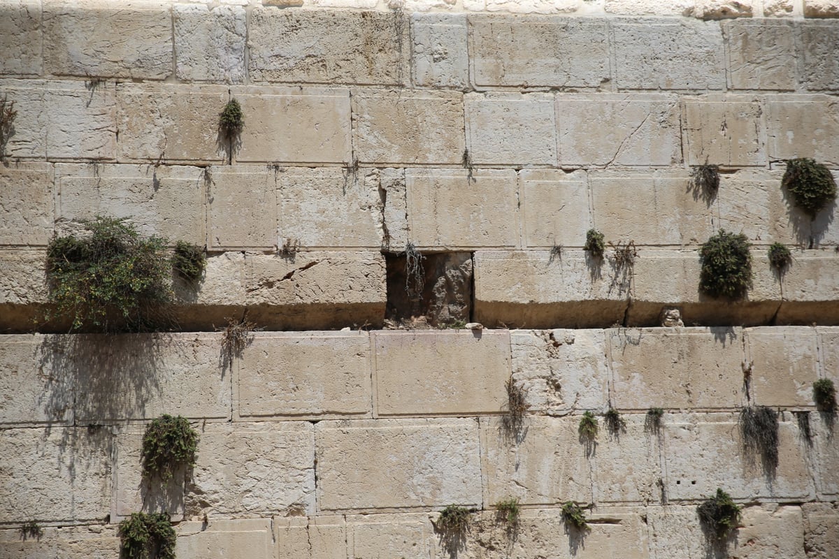 נפילת הסלע הענק בכותל: מתפללת ניצלה