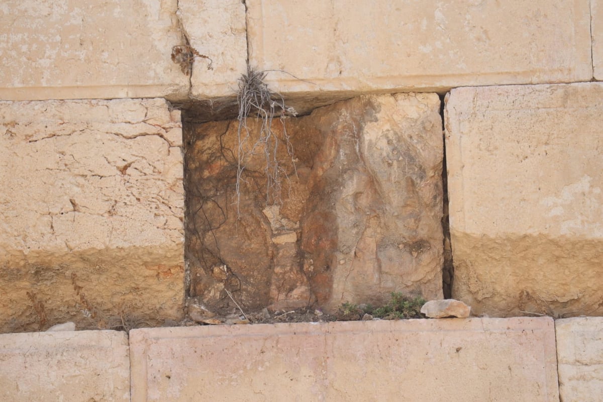 חריג ונדיר: אבן נפלה מהכותל המערבי • צפו