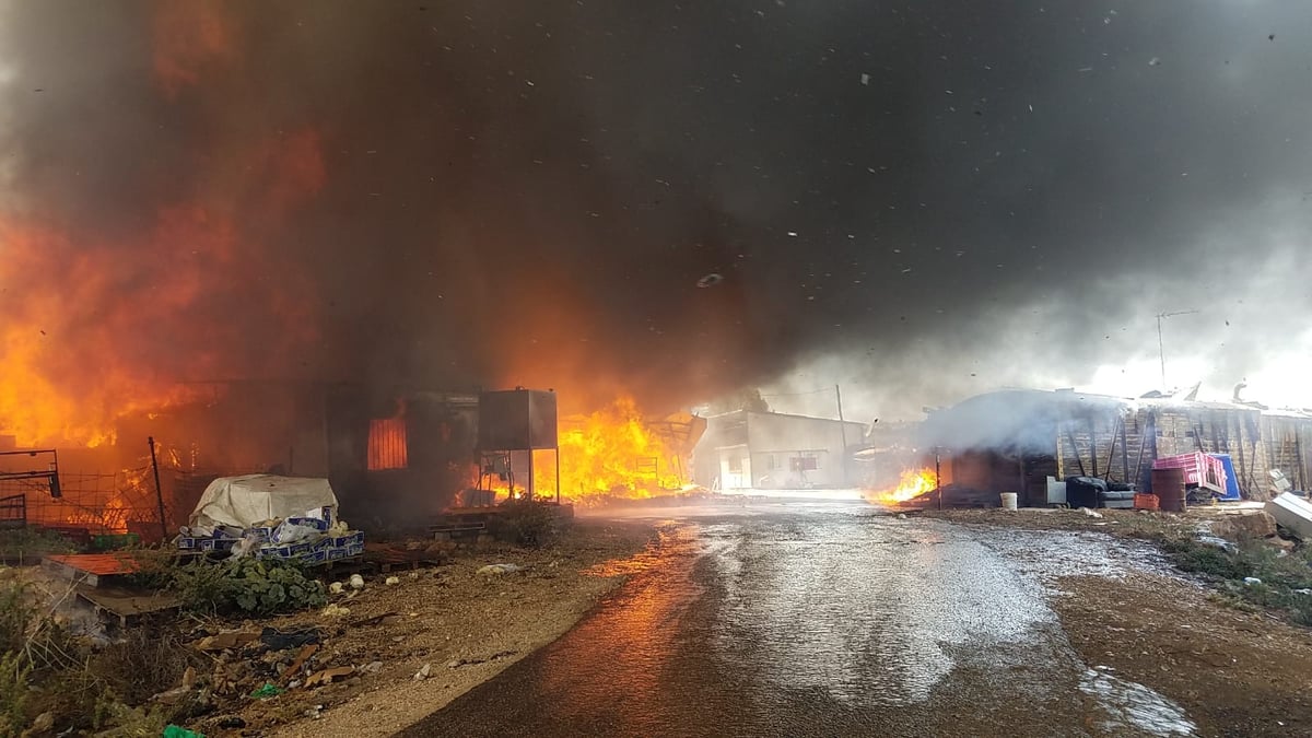 "קרינת חום אדירה": דליקת ענק סמוך לגבעת זאב