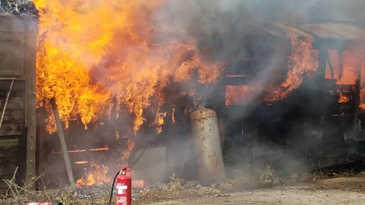 "קרינת חום אדירה": דליקת ענק סמוך לגבעת זאב