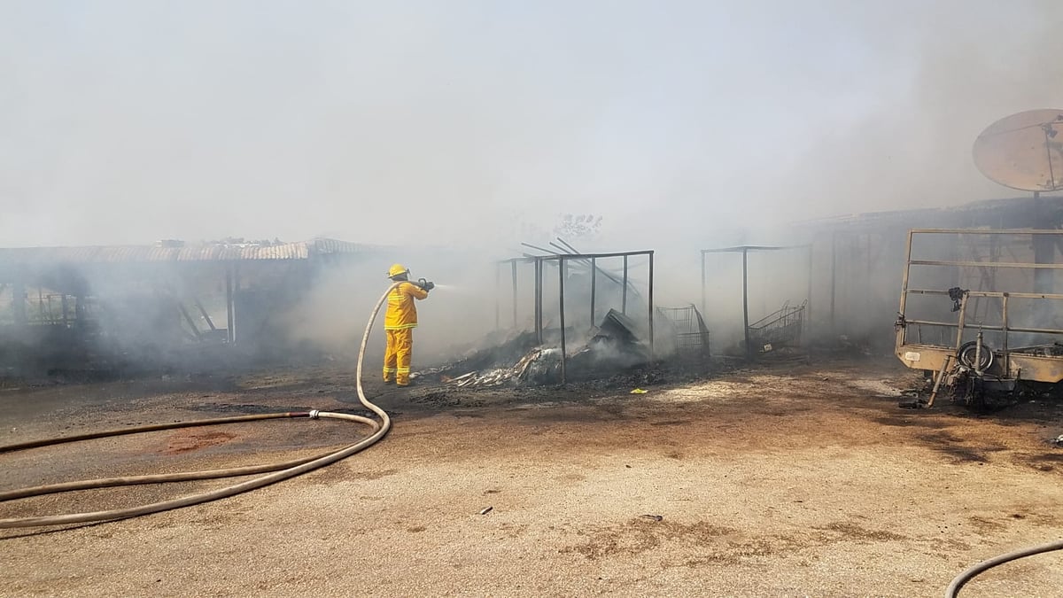 "קרינת חום אדירה": דליקת ענק סמוך לגבעת זאב