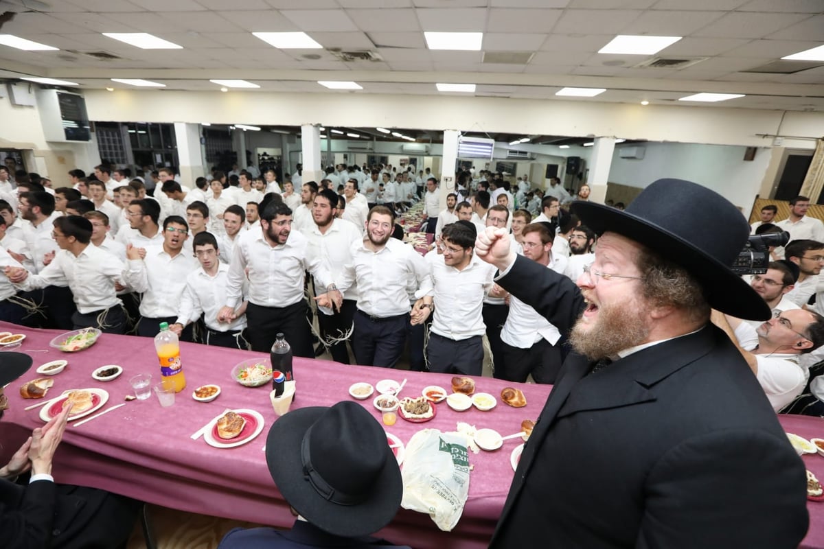 כך סיימו את 'זמן קיץ' ב'עטרת שלמה' • צפו