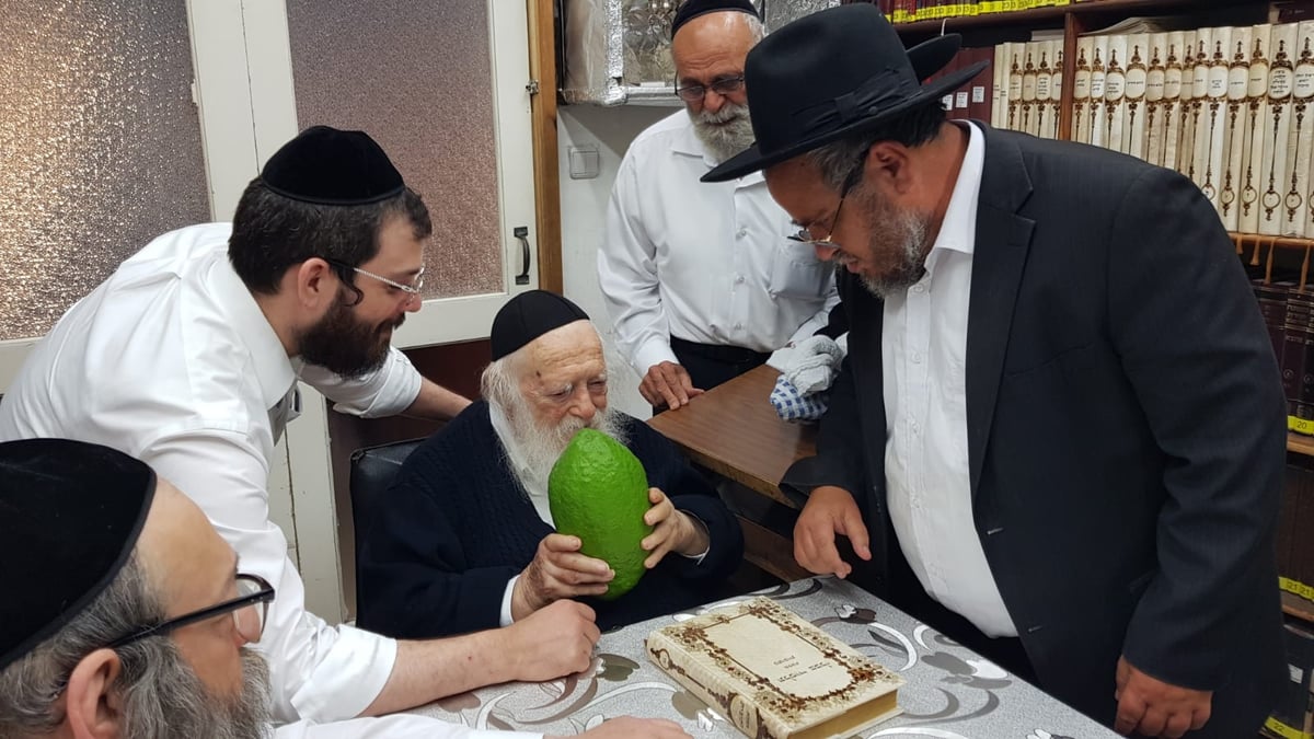 מתנה למרן לקראת ט"ו באב: אתרוג תימני ענק