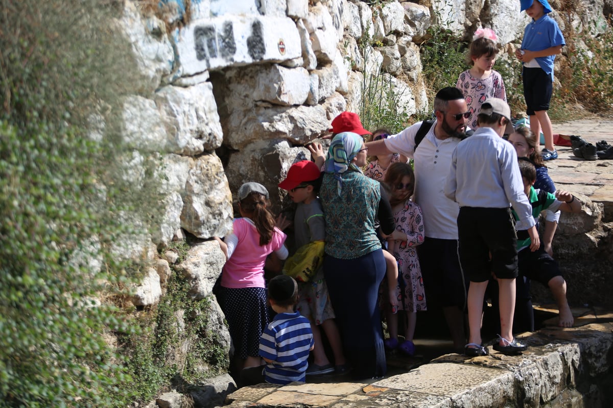 מתרעננים: החרדים 'השתלטו' על ליפתא • צפו