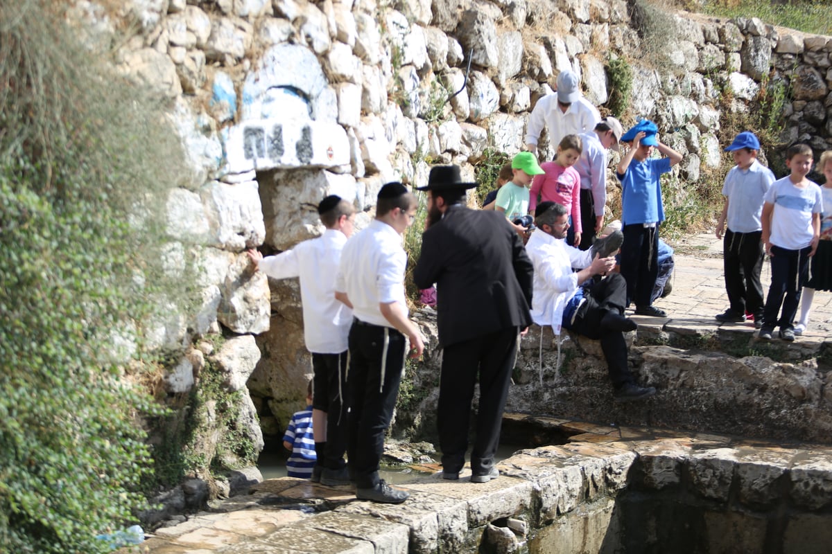 מתרעננים: החרדים 'השתלטו' על ליפתא • צפו