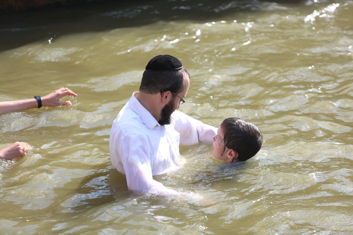 מתרעננים: החרדים 'השתלטו' על ליפתא • צפו