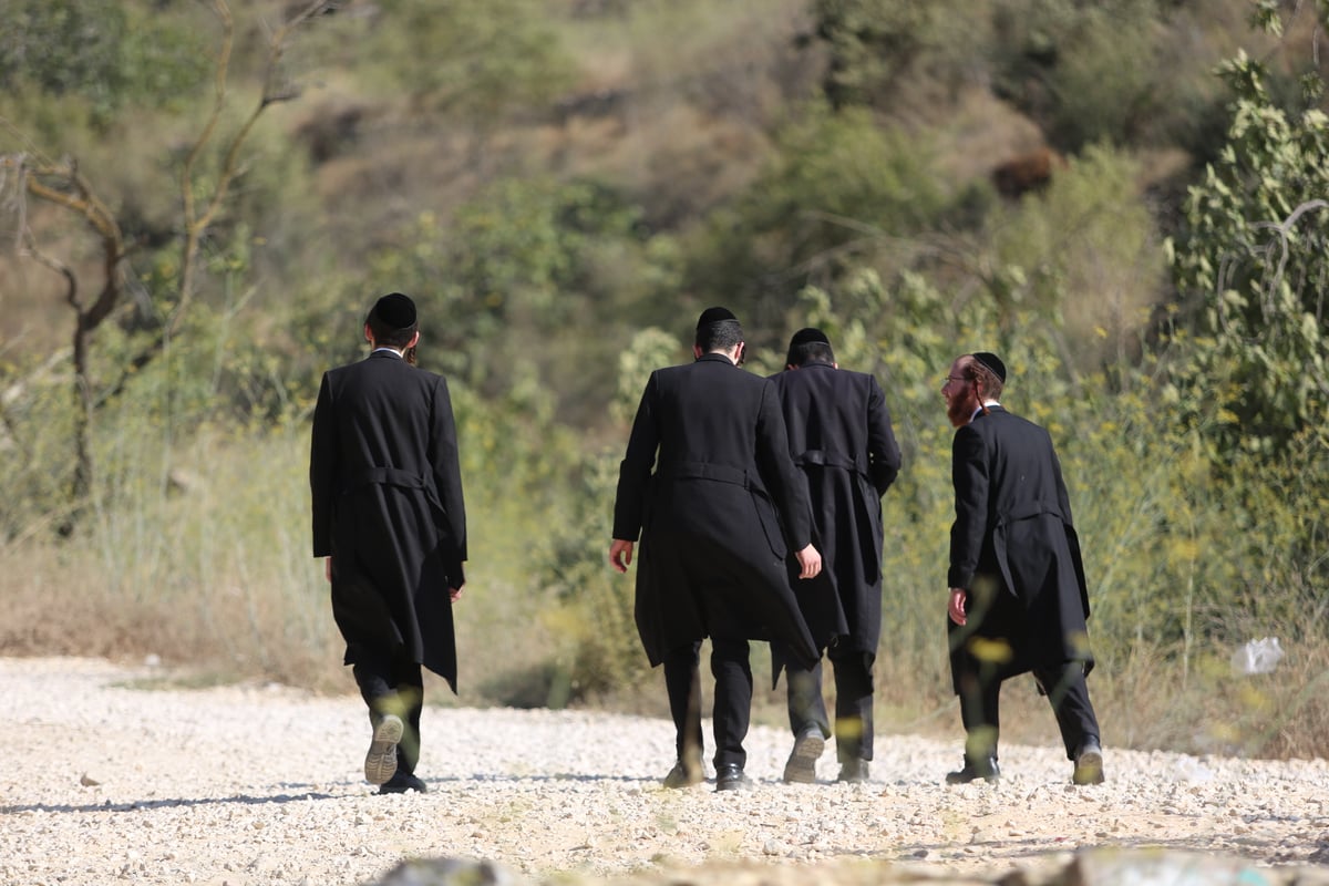 מתרעננים: החרדים 'השתלטו' על ליפתא • צפו