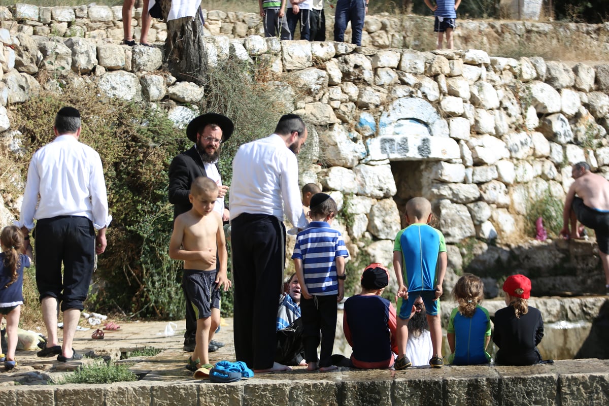 מתרעננים: החרדים 'השתלטו' על ליפתא • צפו