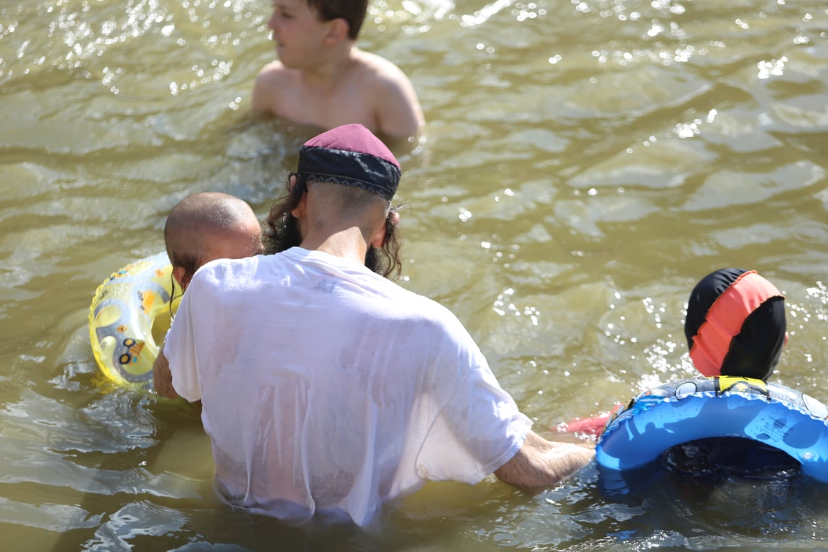 מתרעננים: החרדים 'השתלטו' על ליפתא • צפו