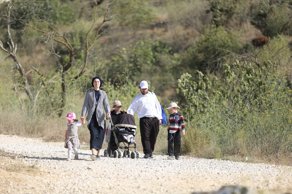 מתרעננים: החרדים 'השתלטו' על ליפתא • צפו