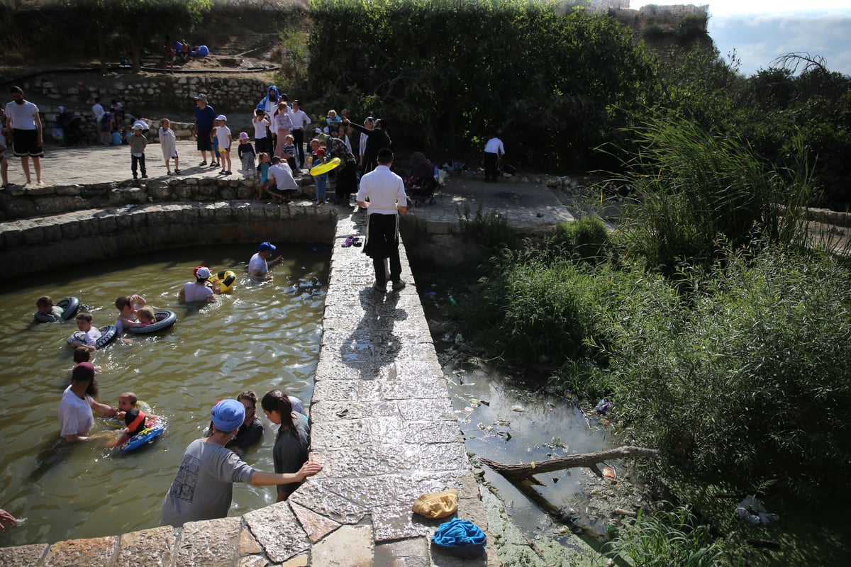 מתרעננים: החרדים 'השתלטו' על ליפתא • צפו