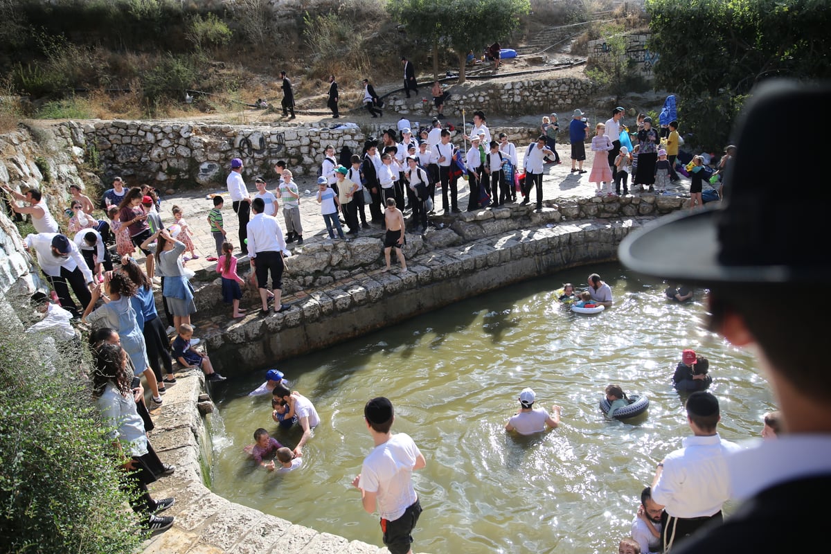 מתרעננים: החרדים 'השתלטו' על ליפתא • צפו