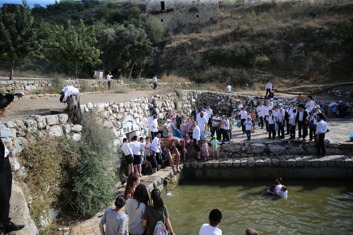 מתרעננים: החרדים 'השתלטו' על ליפתא • צפו