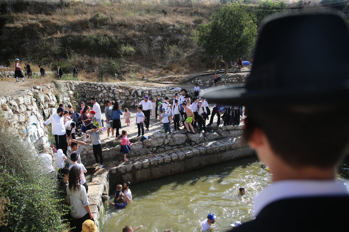 מתרעננים: החרדים 'השתלטו' על ליפתא • צפו