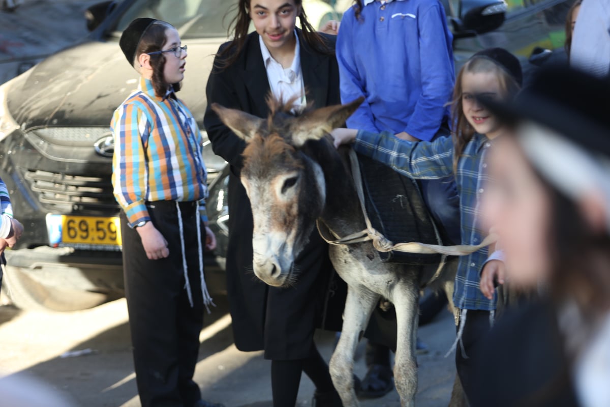 בין הזמנים במאה שערים: תיעוד צבעוני • צפו