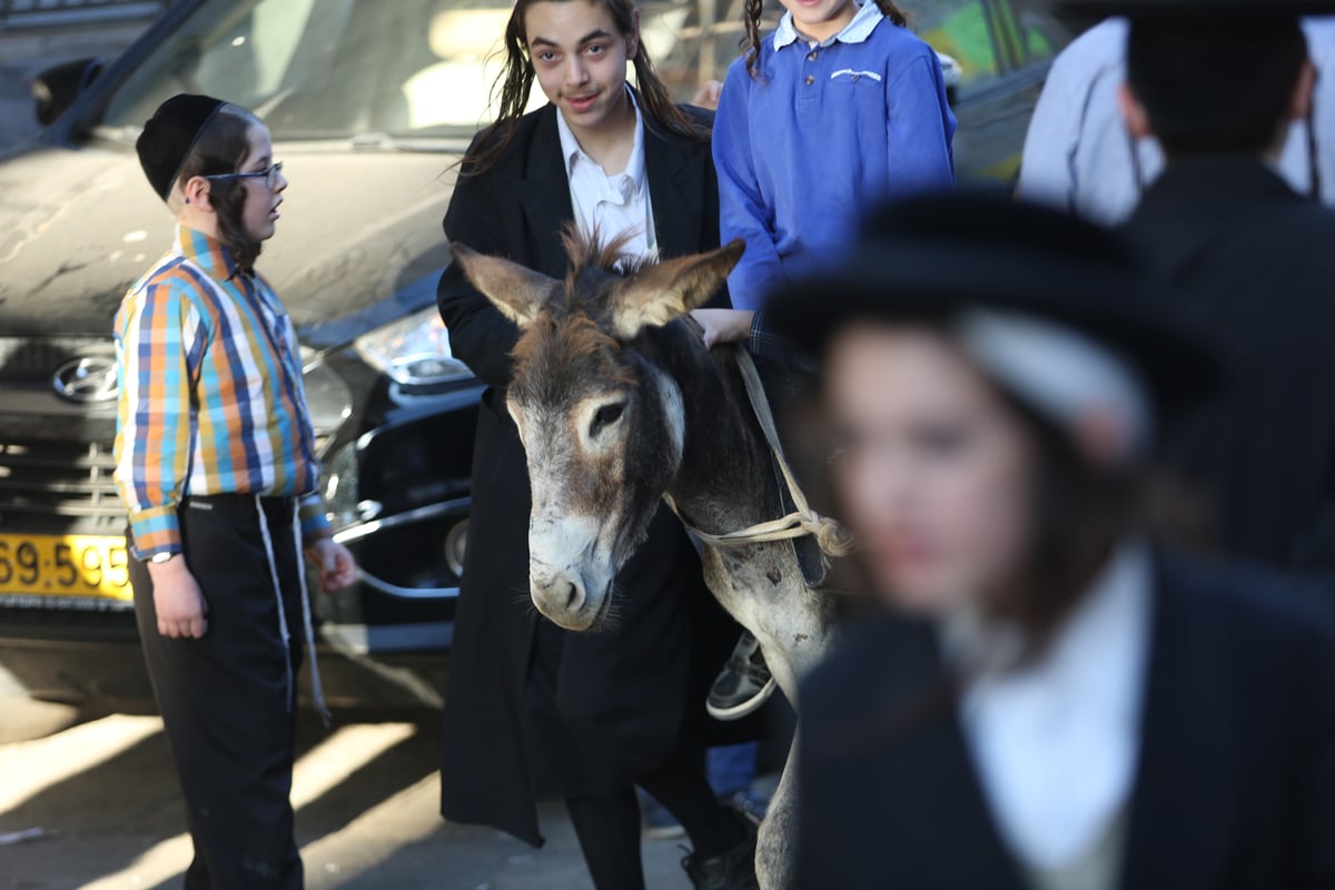 בין הזמנים במאה שערים: תיעוד צבעוני • צפו