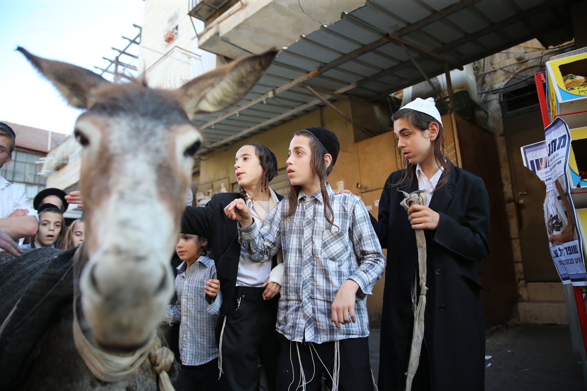 בין הזמנים במאה שערים: תיעוד צבעוני • צפו