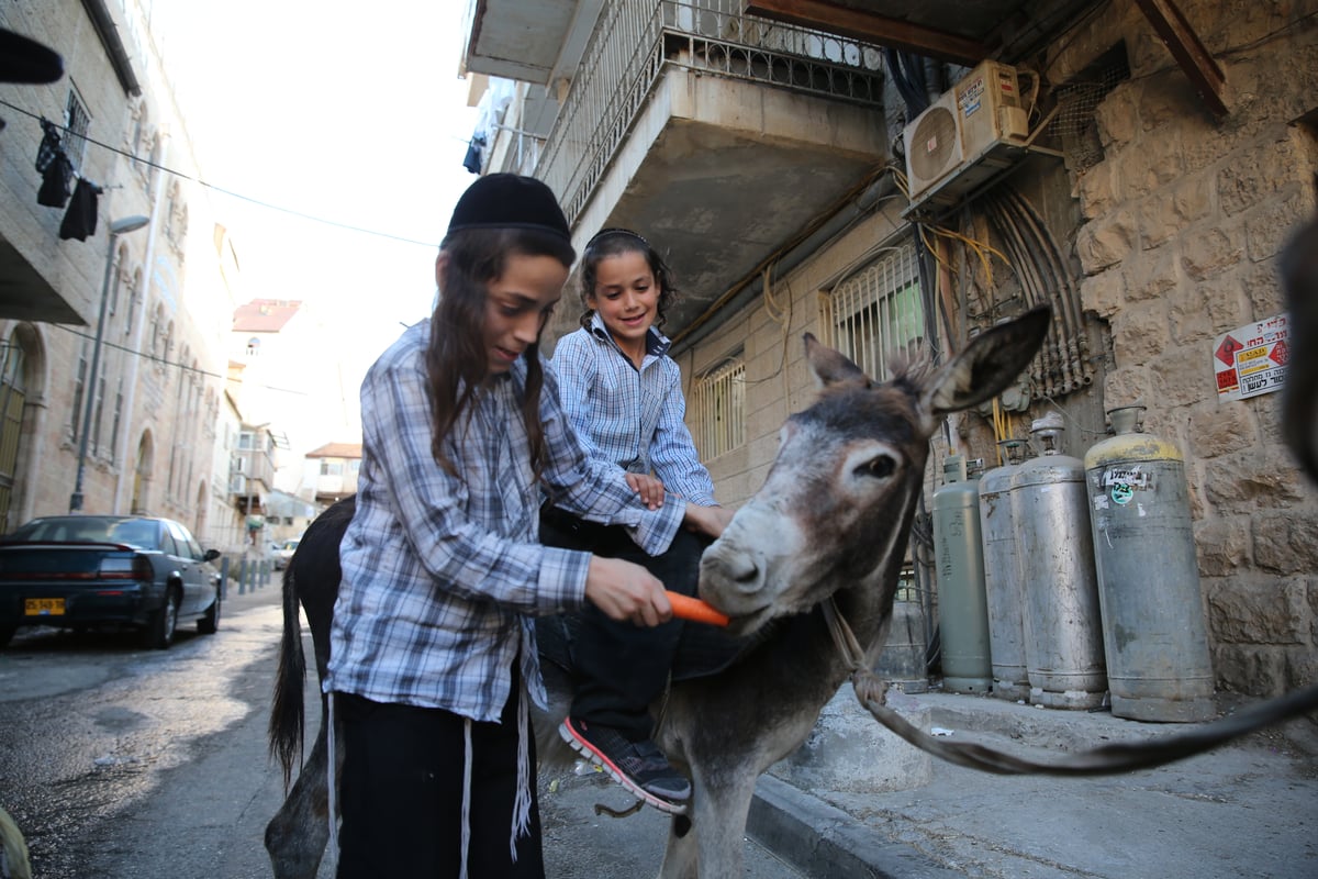 בין הזמנים במאה שערים: תיעוד צבעוני • צפו