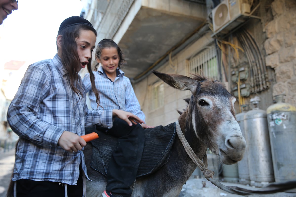 בין הזמנים במאה שערים: תיעוד צבעוני • צפו