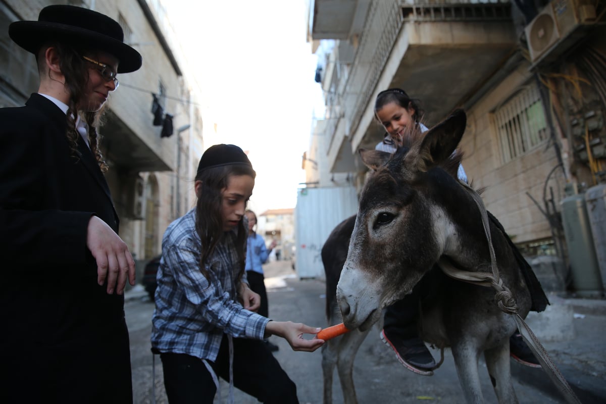 בין הזמנים במאה שערים: תיעוד צבעוני • צפו