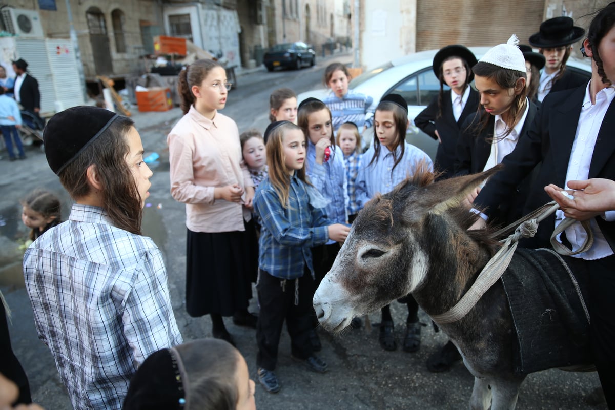 בין הזמנים במאה שערים: תיעוד צבעוני • צפו