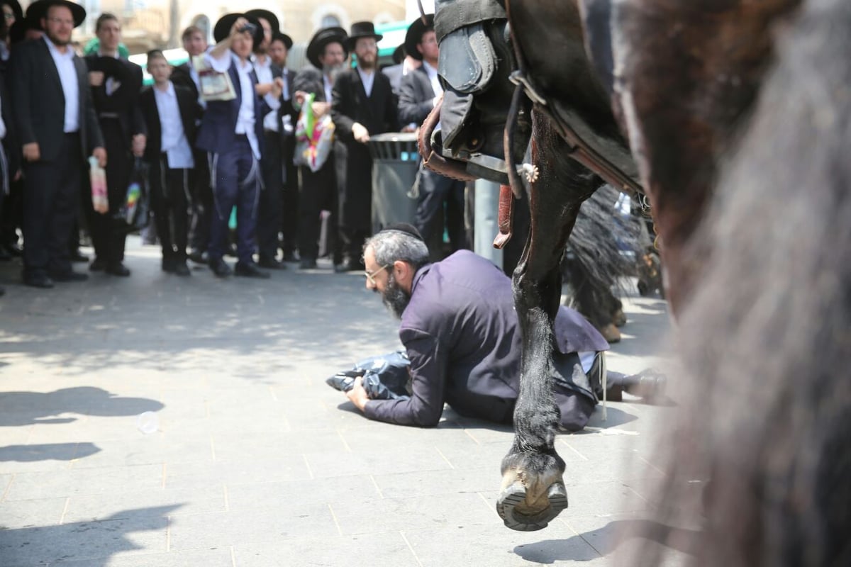 הפגנת 'הפלג',  הגלריה של חיים גולדברג. צפו