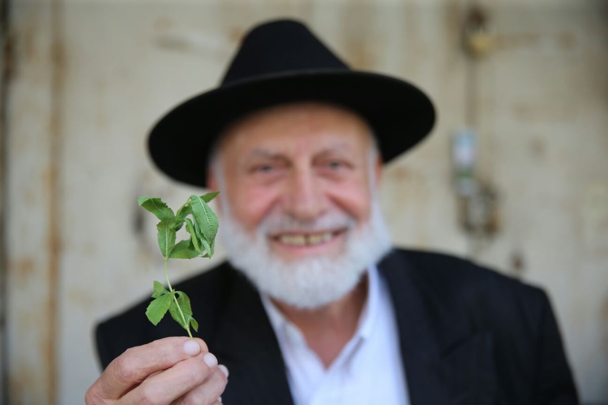 בשכונת הבוכרים: כך נערכים לשבת קודש