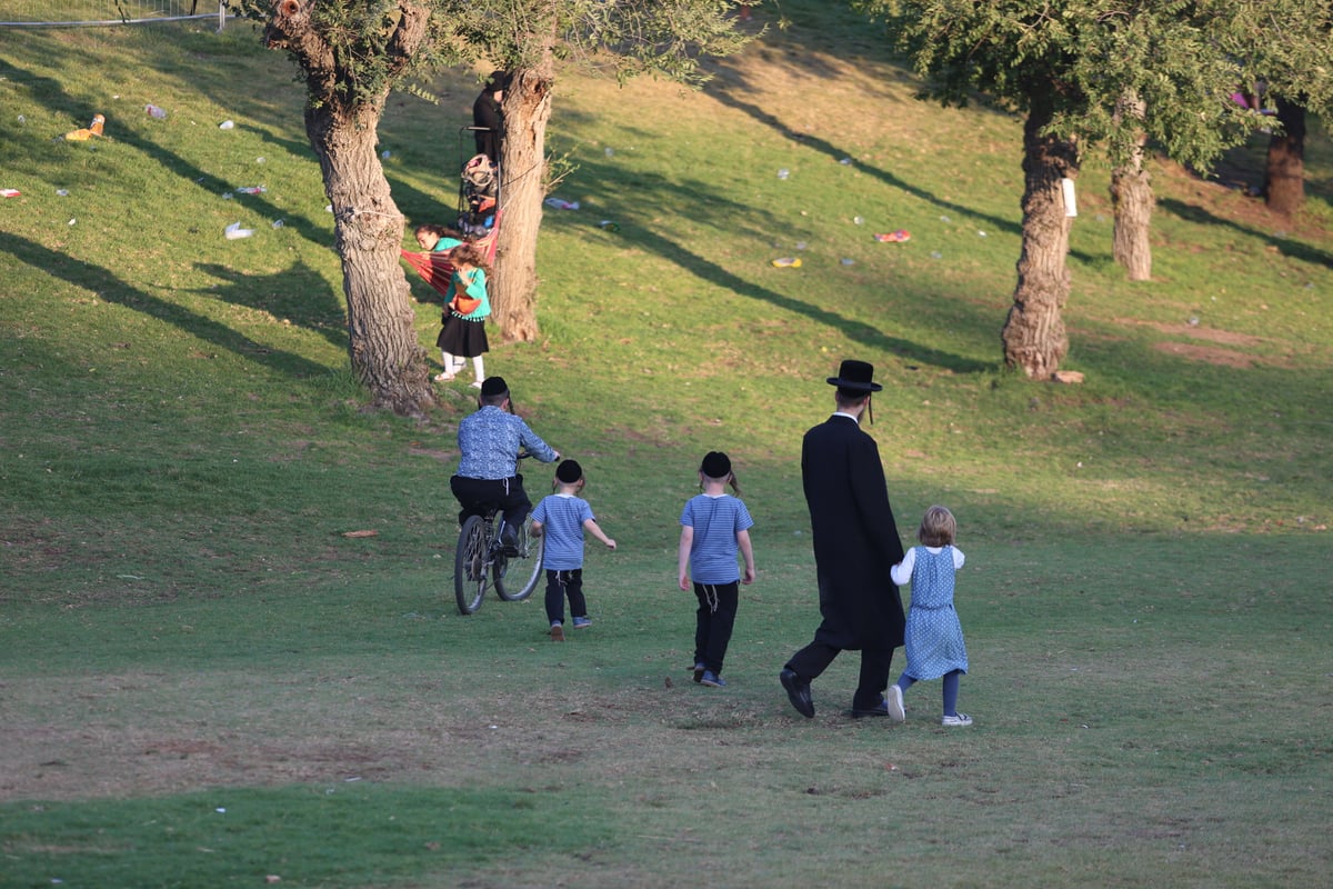 "וקווי השם יחליפו כוח": גלריית בין הזמנים