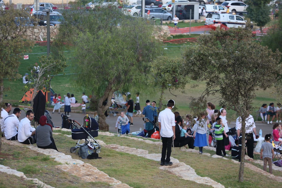 "וקווי השם יחליפו כוח": גלריית בין הזמנים