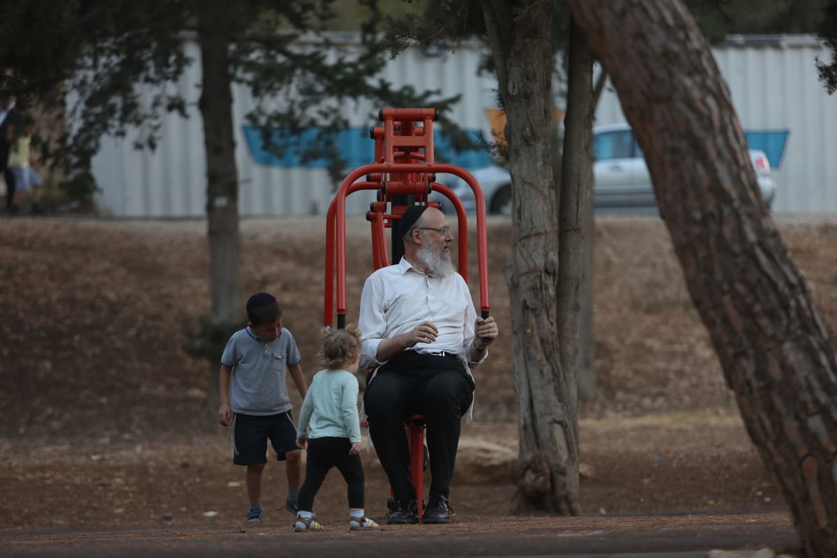 "וקווי השם יחליפו כוח": גלריית בין הזמנים