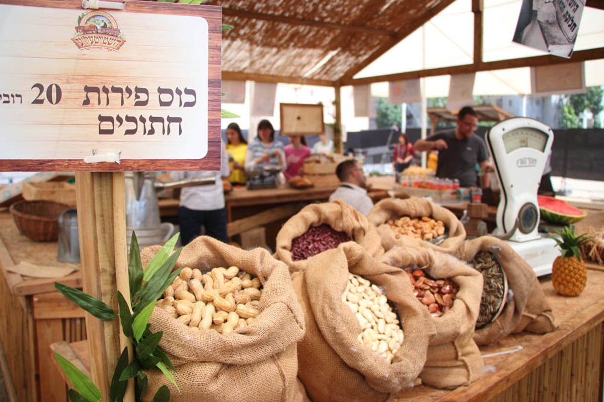 השטייטעלע: העיירה היהודית קמה לחיים באשדוד