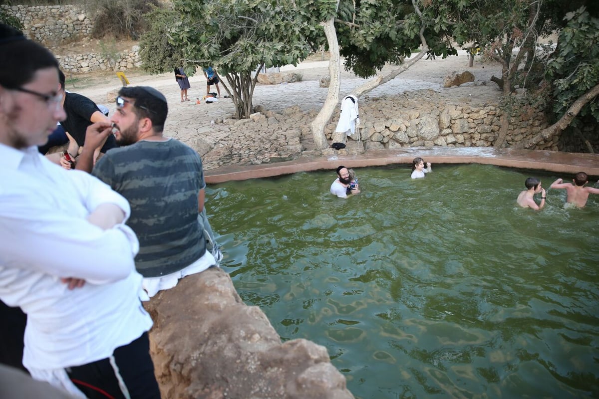 בין הזמנים: חיים גולדברג עם הרוחצים במעיין עין לבן