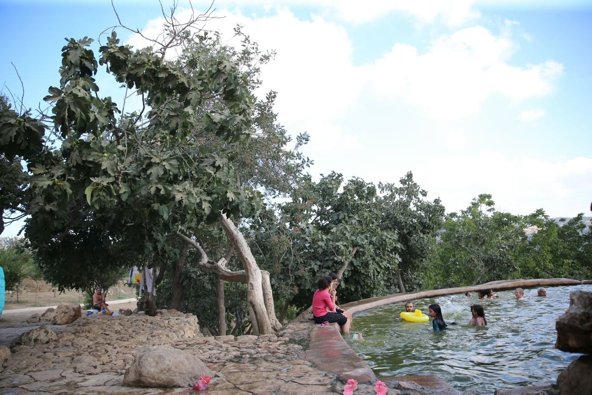 בין הזמנים: חיים גולדברג עם הרוחצים במעיין עין לבן