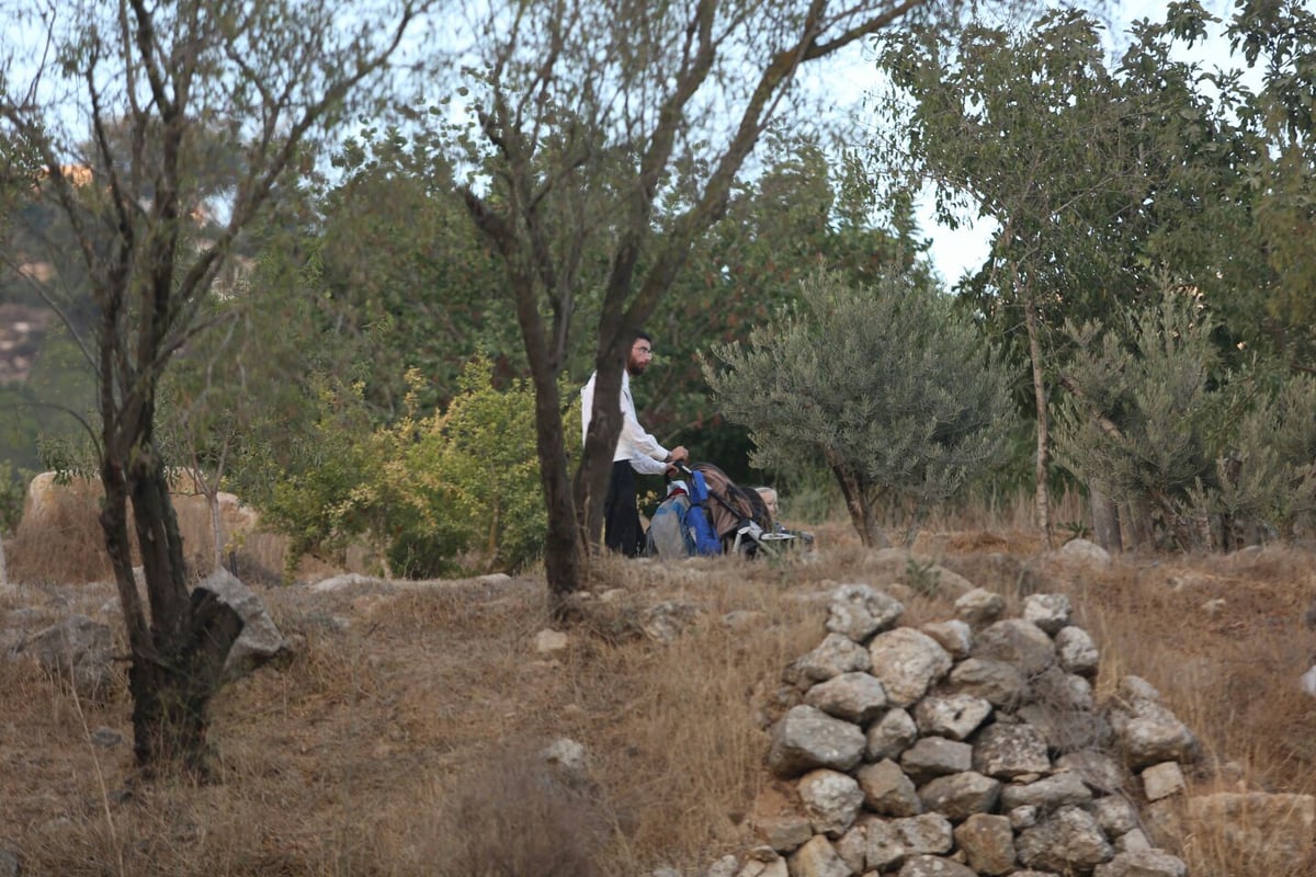 בין הזמנים: חיים גולדברג עם הרוחצים במעיין עין לבן