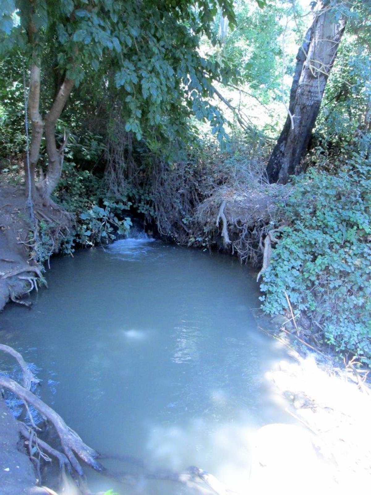 קריית שמונה, נחל הזהב