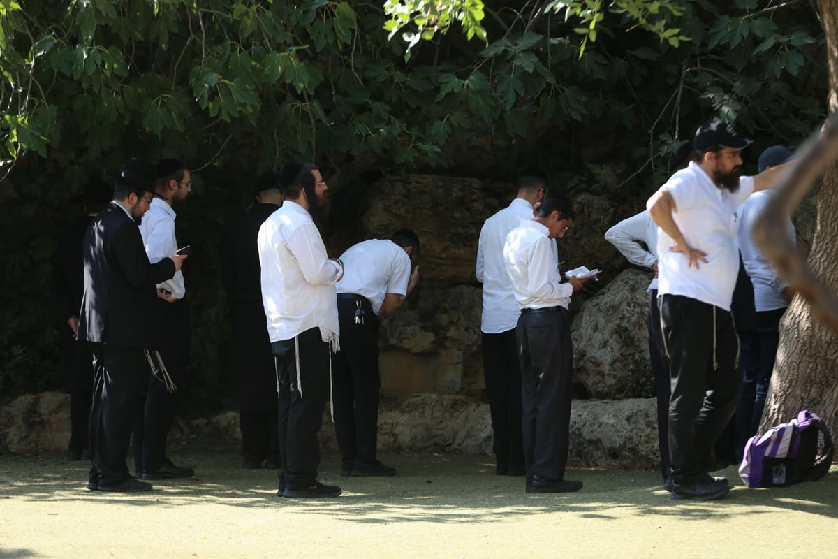 תיעוד מיוחד: ביקור בגן החיות בירושלים