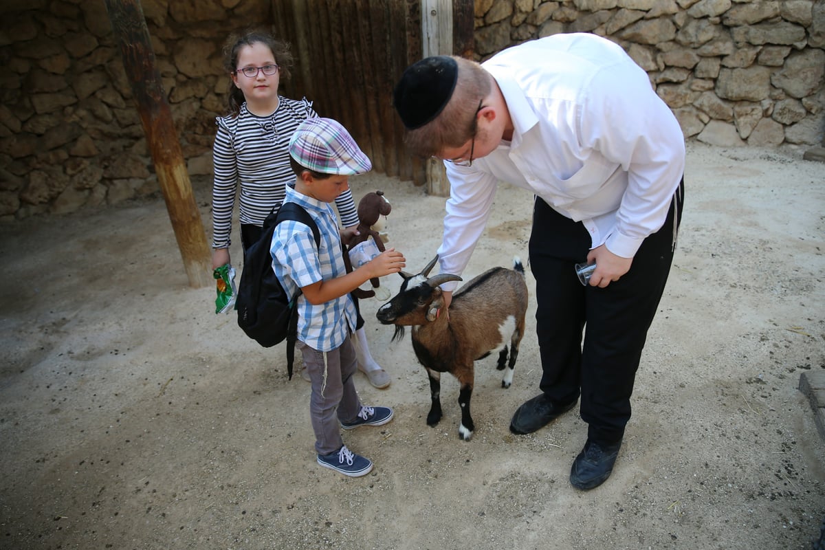 תיעוד מיוחד: ביקור בגן החיות בירושלים