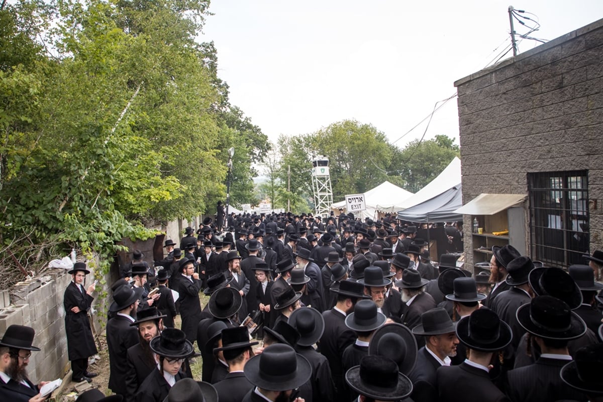 הילולת ה'דברי יואל' זצ"ל בסאטמר • גלריה