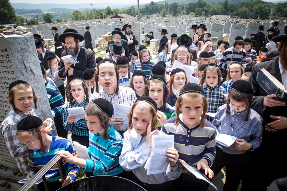 הילולת ה'דברי יואל' זצ"ל בסאטמר • גלריה