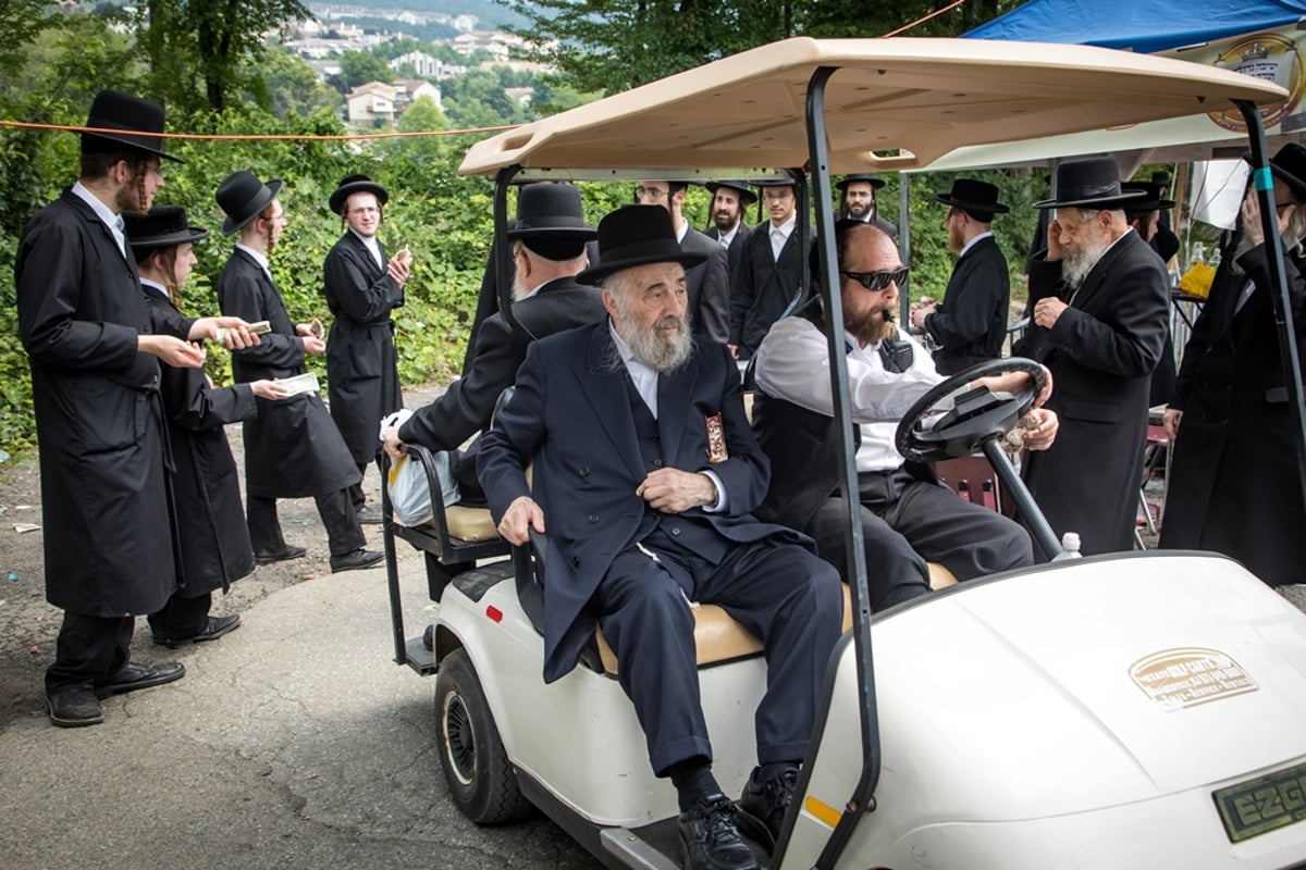 הילולת ה'דברי יואל' זצ"ל בסאטמר • גלריה