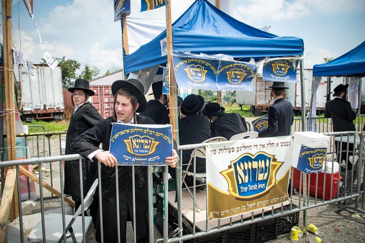 הילולת ה'דברי יואל' זצ"ל בסאטמר • גלריה