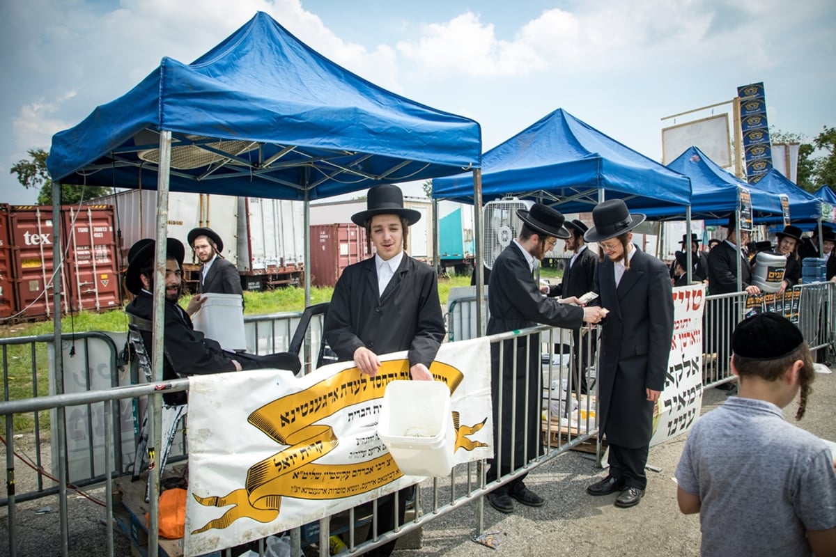 הילולת ה'דברי יואל' זצ"ל בסאטמר • גלריה