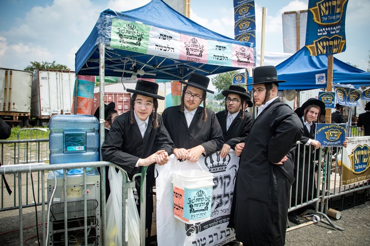 הילולת ה'דברי יואל' זצ"ל בסאטמר • גלריה