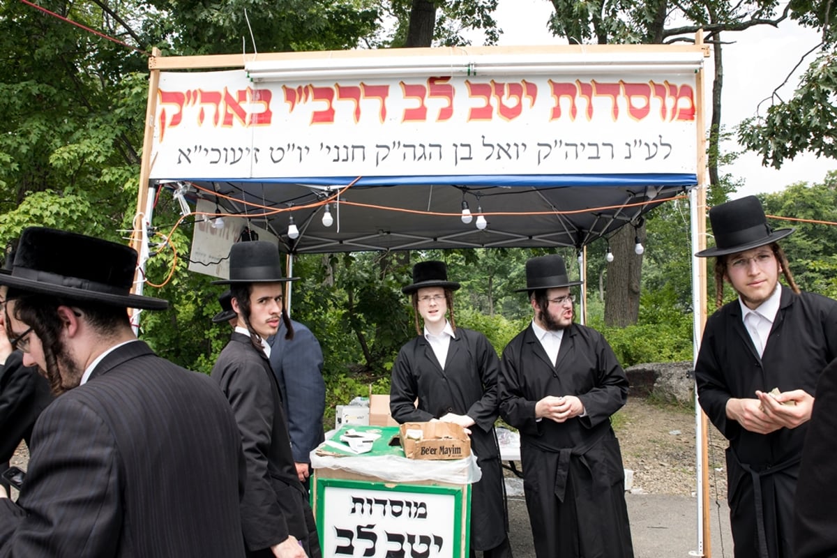 הילולת ה'דברי יואל' זצ"ל בסאטמר • גלריה