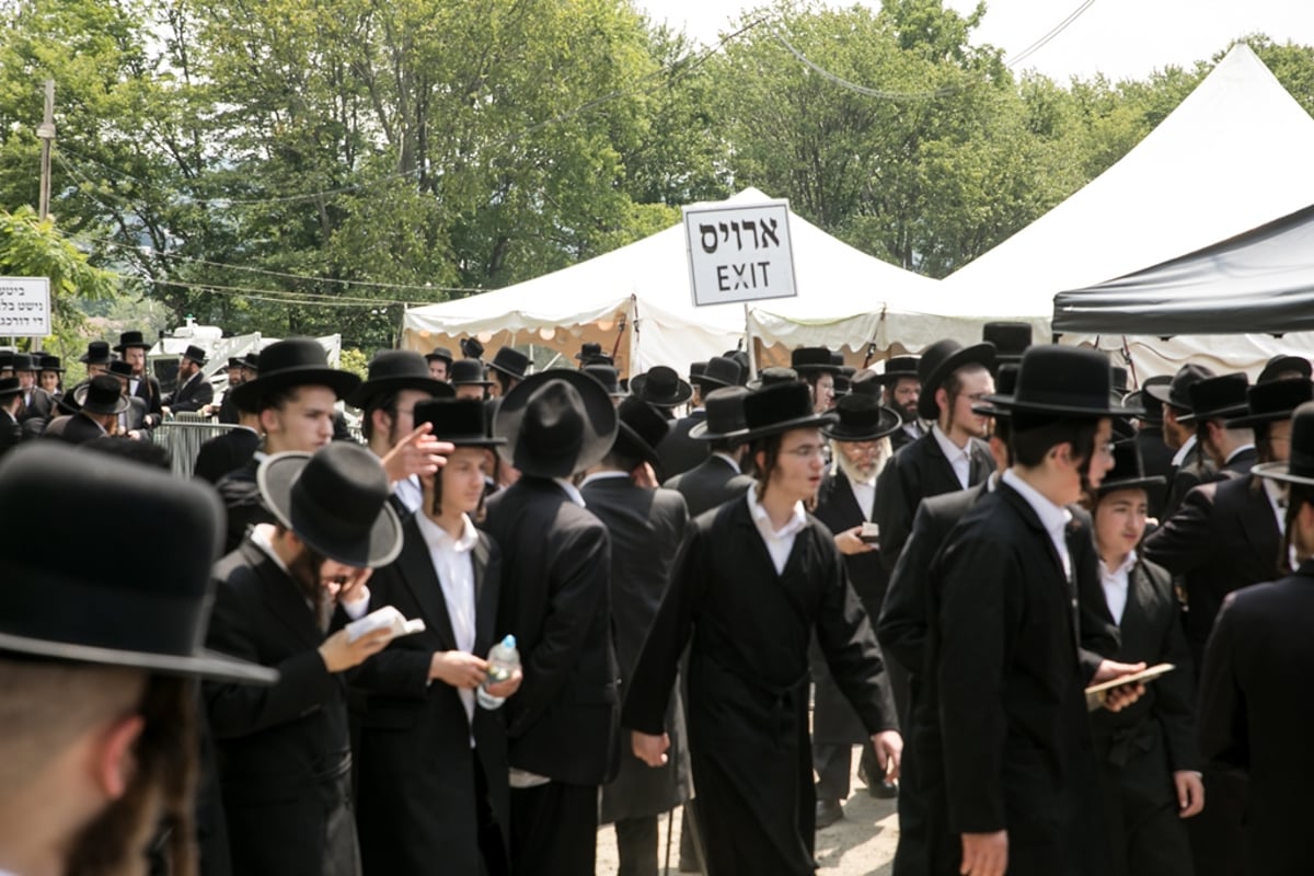 הילולת ה'דברי יואל' זצ"ל בסאטמר • גלריה