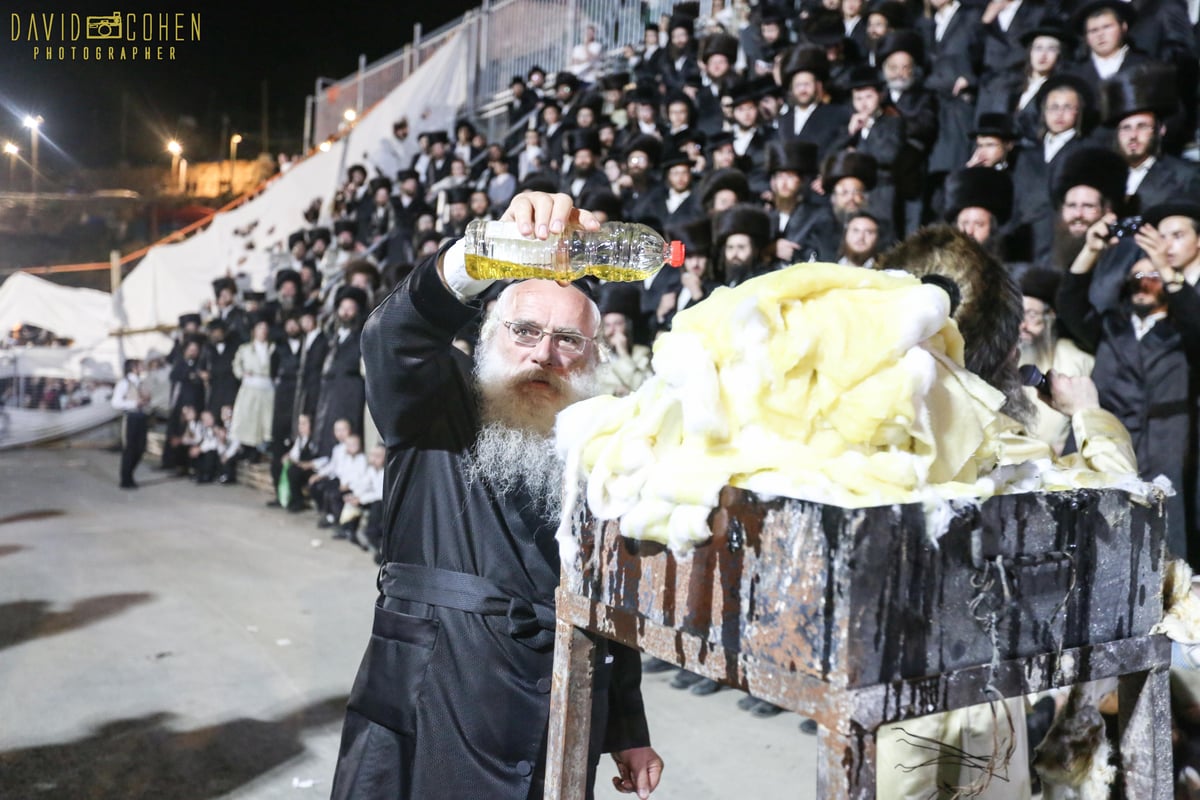 ההדלקה של המשפיע רבי מיילך בידרמן במירון • צפו