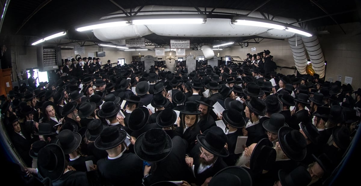 הילולת ה'דברי יואל' זצ"ל בסאטמר • גלריה